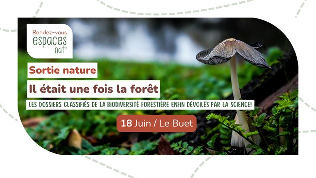 Sortie nature - Il était une fois la forêt_Vallorcine