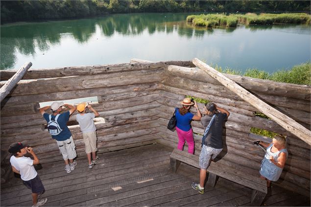 Visite de la réserve naturelle du delta de la Dranse - P.Thiriet
