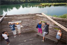 Visite de la réserve naturelle du delta de la Dranse - P.Thiriet