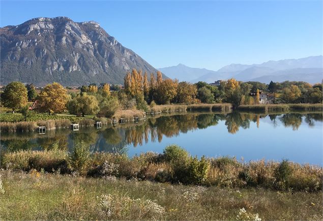 Découverte de la biodiversité