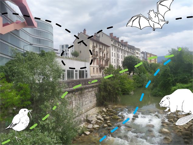 Visite et atelier : Vert, noir, bleu ? Trames et corridors écologiques à Chambéry - Journées Europée