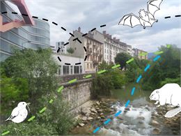 Visite et atelier : Vert, noir, bleu ? Trames et corridors écologiques à Chambéry - Journées Europée