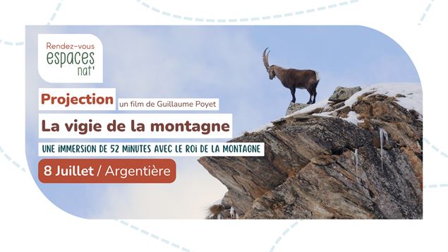 Projection - La vigie de la nature_Argentière