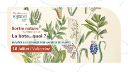 Sortie - Initiation à la botanique_Vallorcine