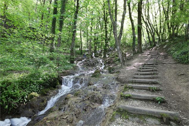 Visite : Les arbres du parc de la Calamine - Journées Européennes du Patrimoine_Chambéry - D. MAZUE 