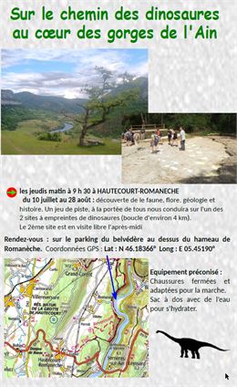 Empreintes de dinosaures - Michel Geoffray