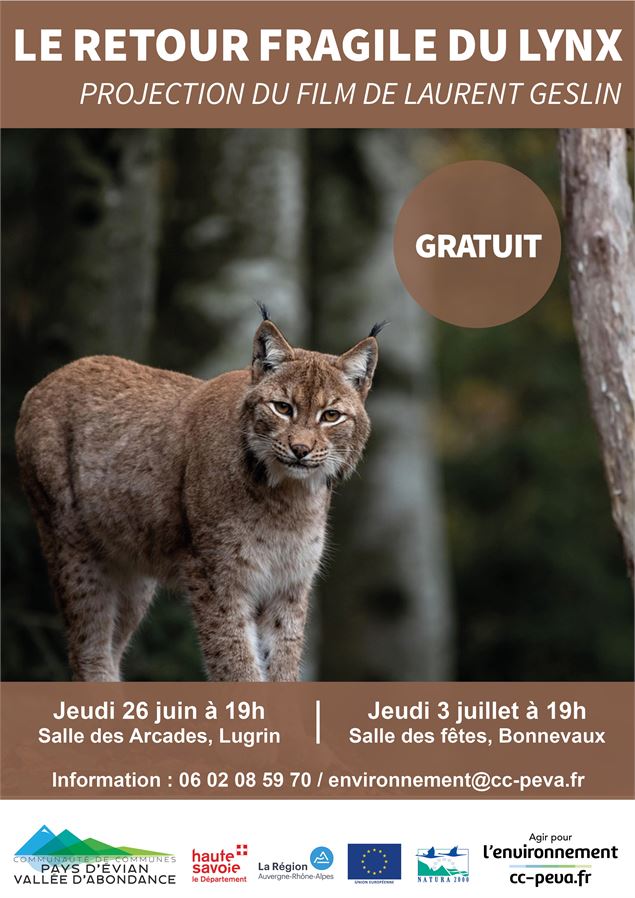Projection du film 