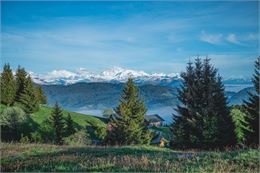 Mont Blanc - Melanie Carle