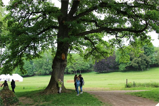 Le parc à l'envers ! Balade sensorielle dans le parc de Cibeins_Misérieux