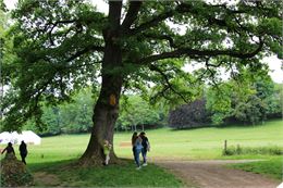 Le parc à l'envers ! Balade sensorielle dans le parc de Cibeins_Misérieux
