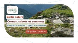 Sortie nature - Cornes, sabots et sommets_Vallorcine