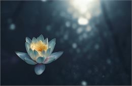 Yoga pour enfant à valloire - Photo by Zoltan Tasi on Unsplash