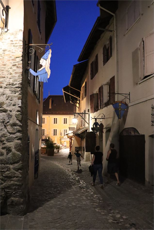 Visite guidée de la cité médiévale : Conflans nocturne