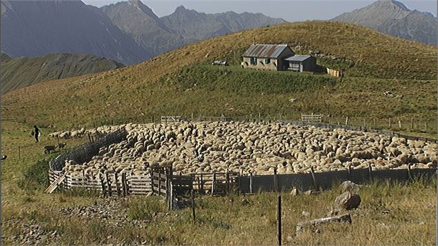 image du film 