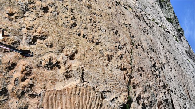 A la découverte des traces d'Archosaures à Emosson par Serge Drouet, géologue_Chamonix-Mont-Blanc