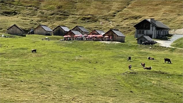 Nos alpages, une agroécologie alpine ancestrale par Jean-Marcel Dorioz, directeur de recherche éméri