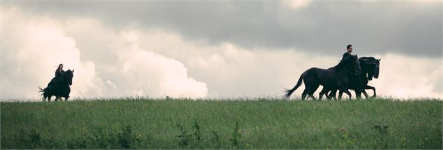Entre chiens et loups - © Francesca Todde