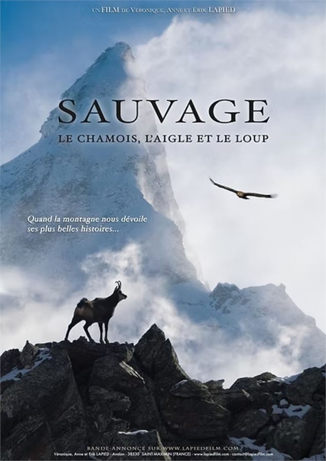 affiche du film - lapiedfilm