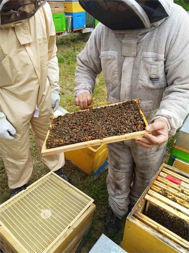 Les Artisans vous ouvrent leurs portes ! Visite d'Entremonts et Abeilles_Saint-Pierre-d'Entremont -