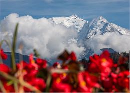 JEP : lecture de paysage_Combloux