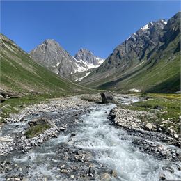Balade dans le vallon de Foran_Aime-la-Plagne - La Plagne Vallée