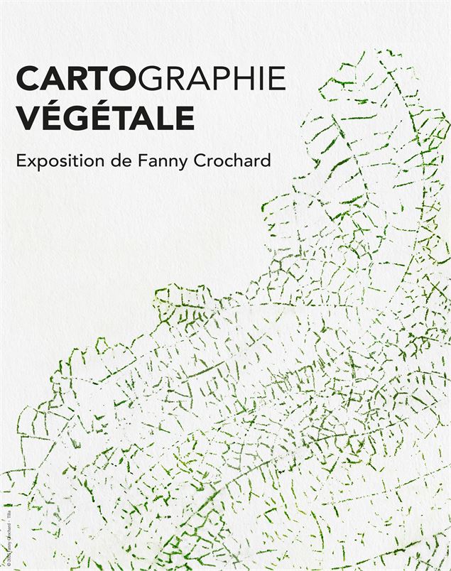 Exposition : Cartographie végétale_Annecy - Le Mikado - Fanny Crochard