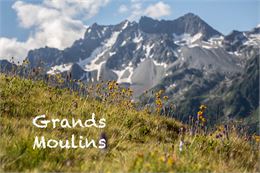 Les Grands Moulins