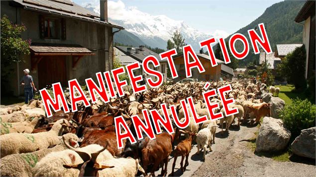 Fête de la Transhumance_Argentière
