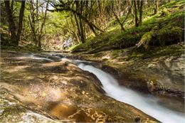 Les rencontres sauvages de la rivière - Patrick Sabonnadière