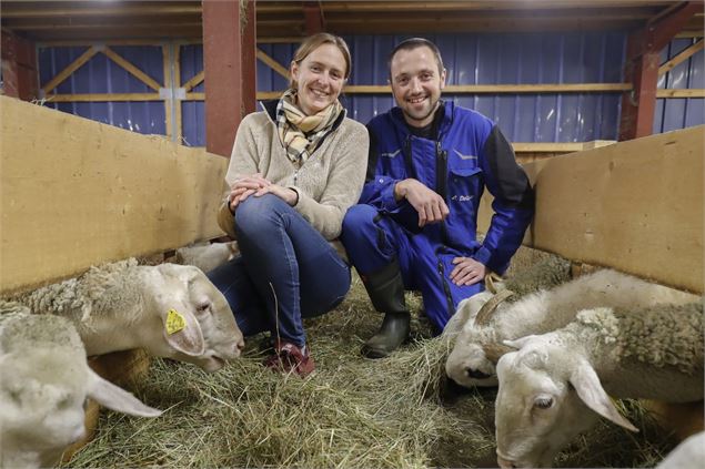 Visite guidée de la bergerie des deux savoie