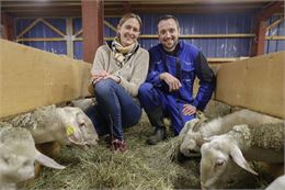 Visite guidée de la bergerie des deux savoie