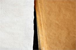 Animation "Papier recyclé et graines de fleurs"_Meximieux - unsplash