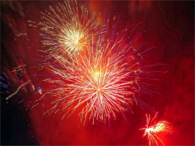 feu d'artifice pour 14 juillet - Pixabay/Dezalb