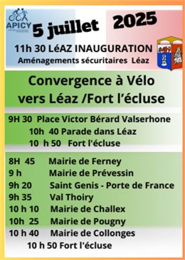 Affiche Leaz - APICY