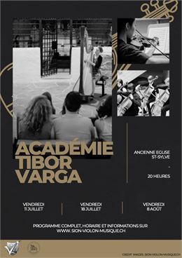 Académie de musique Tibor Varga_Vex
