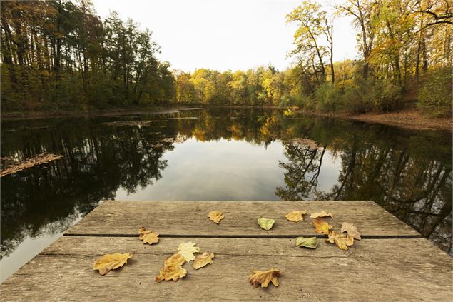 planche sur un lac - Freepik