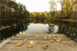 planche sur un lac - Freepik