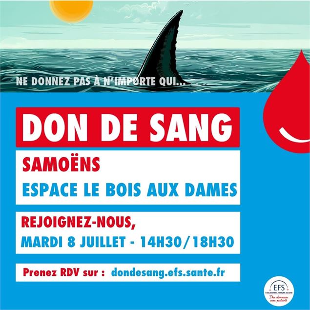 plaquette de présentation samoens - EFS