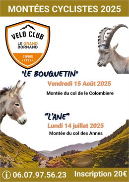 Affiche montée cycliste - Vélo Club