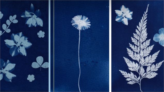 Animation création de cyanotype par le relais sénior au Cozi café_Saint-Alban-Leysse - Mairie de Sai
