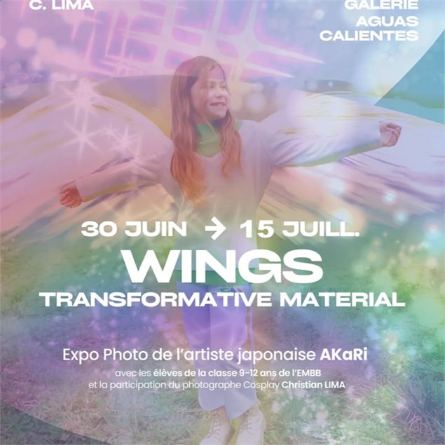 Exposition du projet artistique 