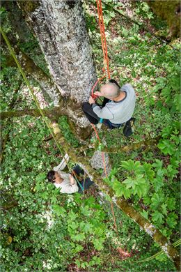 Les arbres vous tendent la branche - @PIerrick Aubert