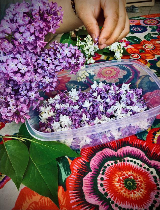 Balade «Floraison d'histoires», la magie des plantes_Mieussy - Claire Obelliane