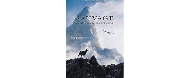 Sauvage, le chamois, l'aigle et le loup - Lapied