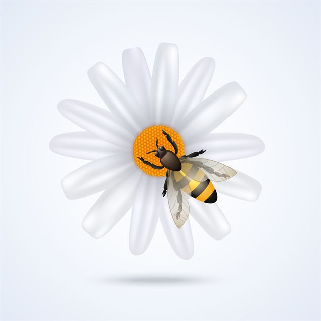 Illustration abeille - Freepik