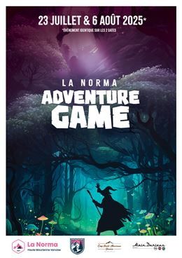 Affiche Adventure game 2025 - OT HMV