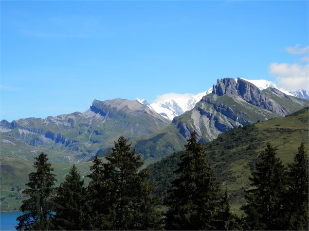 Piste_treicol - EM