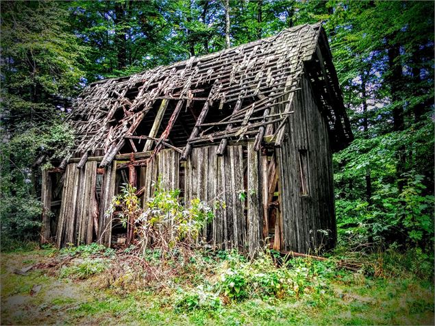 Vieille cabane dans les bois - Pixabay