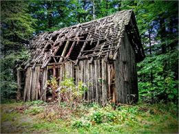 Vieille cabane dans les bois - Pixabay