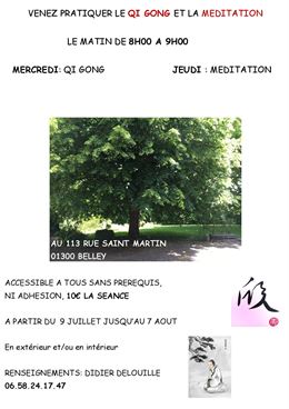 Cours de Qi Gong à Belley - Les 5 souffles - Didier Delouille